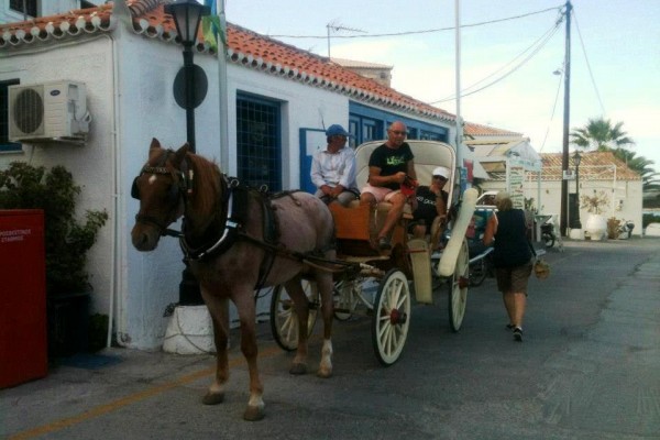 Horse cart for hire